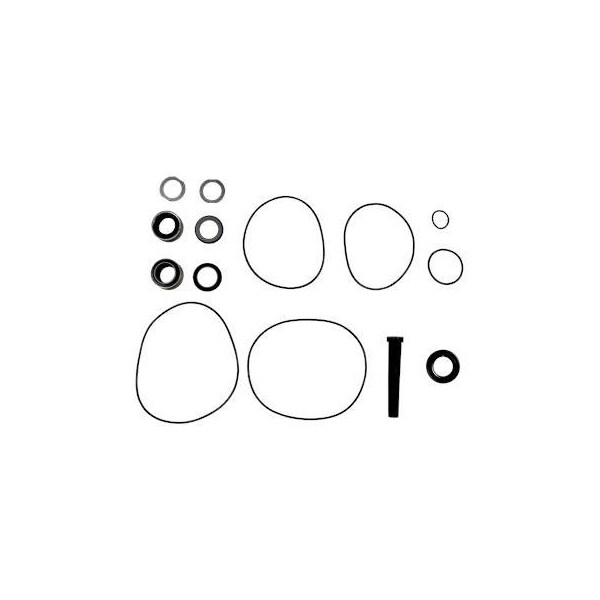 Pump Repair Kits- Kit, AP10.65/51.65.17/51.65.22, AP Series.